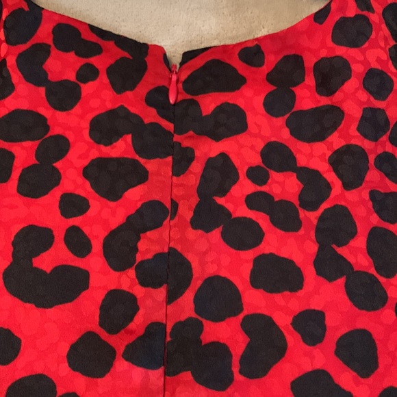 Like new Ann Taylor dress. Fully lined.  Rey cute - Picture 4 of 4